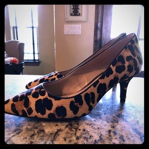 Gianni Bini leopard heels size 7